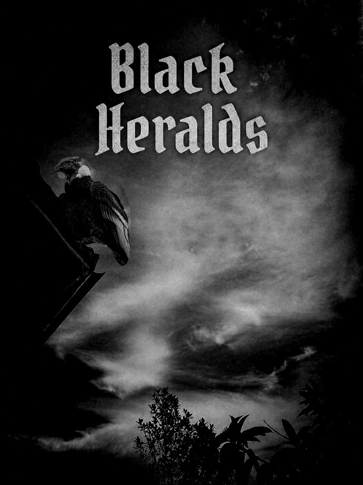 Black Heralds artwork: a dark bird flying through a turbulent black-and-white sky